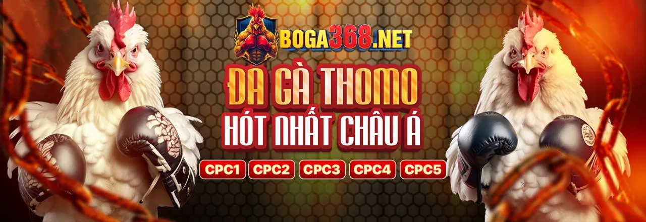Chiến lược Baccarat f888 casino